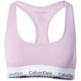 Calvin Klein Underwear Grudnjak lila / crna / bijela