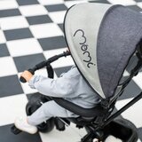 Momi tricikl iris grey ( ROTR00010 ) | ePonuda.com