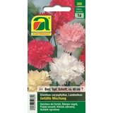 AUSTROSAAT Vrtni nagelj "Dianthus caryophyllus" mešanica | Shoptok.si