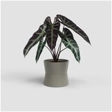 Artevasi Keramička tegla za cvijeće ø 20 cm Diana – | shoptok.hr