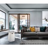 DeLonghi razvlažilnik zraka DEXD214RF | Shoptok.si