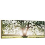 knor Slika 150x60 cm Tree in the Sun – | shoptok.hr