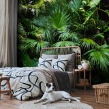  Foto tapeta - Sunny Jungle 450x315 | shoptok.hr