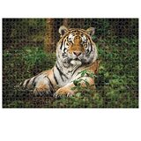 Puzzle 1000 KOM ANIMAL PLANET TIGAR DIAKAKIS 000570698 | Shoptok.si