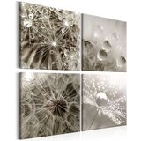  Slika - Grey Dandelion 80x80 Cijene