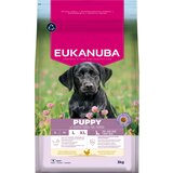 Eukanuba Premium Nutrition Puppy Large & Giant Breed piletina - 2 x 15 kg | shoptok.hr