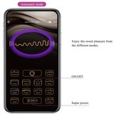  Vibracijski JajČek Pretty Love Abner App Purple | Shoptok.si
