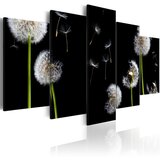  Slika - Dandelion- towards freedom 200x100 | shoptok.hr