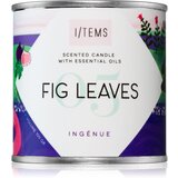 Items Artist Collection 05 / Fig Leaves dišeča sveča 100 g | Shoptok.si