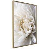  Poster - Peace of Mind 20x30 Cijene