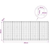  Gabion s žicom debljine 5 mm i mrežom 10x10 cm 250x30x100 cm | shoptok.hr
