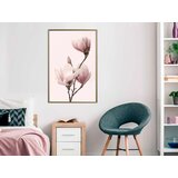  Poster - Blooming Magnolias III 40x60 | shoptok.hr