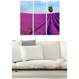 Wallity Set slika MDF340922, 3 dijela | Eponuda.ba