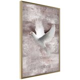  Poster - White Dreams 40x60 Cijene