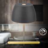 BRILONER MINI LED stona lampa, prigušiva, punjiva, na dodir, za spoljnu upotrebu, LED/2,5W/5V, IP44, 1800 mAh, antracit | Eponuda.com