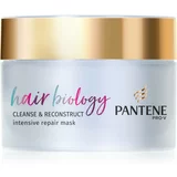 Pantene Hair Biology Cleanse & Reconstruct maska za lase za poškodovane lase 160 ml
