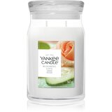 Yankee Candle Blooming Love dišeča sveča 567 g Cene