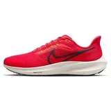 air zoom pegasus 39