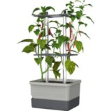 Gusta Garden Charly Chili - rastlinski lonec - svetlo siva Cene