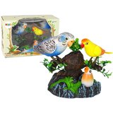  Singing moving parakeets Colorful tree Cene