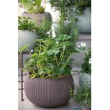 Keter Plastična viseća i zidna posuda za cvijeće ø 36 cm Cozy – | shoptok.hr