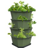 Gusta Garden Paul Potato Starter - 4 nadstropja - zelena Cene
