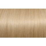 Seiseta Sticker Tape-In Extensions Classic 40/45cm - DB2 svetlo zlata blond | Shoptok.si