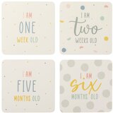 BusyB Milestone kartice Multi – | Shoptok.si
