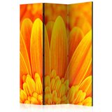 Artgeist Paravan Yellow Garbera Daisies, 3-Delni, Dvostranski | Shoptok.si