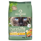 Pro Nutrition fitness Traka za trčanje za kućne ljubimce TM680 | Eponuda.com