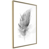  Poster - Lost Feather (Grey) 30x45 Cijene