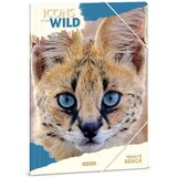 Ars Una Icons of the wild A/4 mapa z elastiko s potiskom servala | Shoptok.si