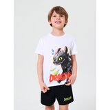 Sinsay Komplet dvodijelne pidžame How to train your dragon | shoptok.hr