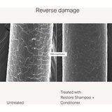 Living Proof Restore regenerator za učvršćivanje i obnavljanje kože lica za suhu i oštećenu kosu 236 ml | shoptok.hr