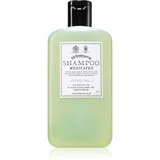 Medicated Shampoo zaščitni šampon za lase 250 ml