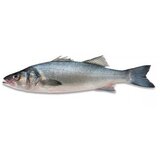  Brancin 1kg | Eponuda.com