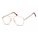 Berkeley Naočare 789D | ePonuda.com