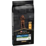 Pro Plan PURINA Large Athletic Puppy Healthy Start - 12 kg | shoptok.hr