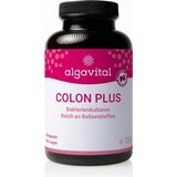 algavital colon Plus Cene