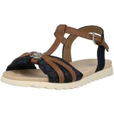 Tom Tailor Sandali s paščki temno modra / rjava | Shoptok.si