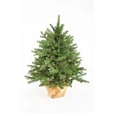 novogodišnja jelka victoria 3D 180 cm/ 23333