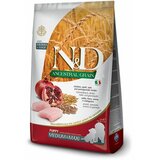 N&d ag puppy chicken & pomegranate medium/maxi 2.5 kg Cene