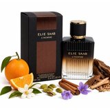 Elie Saab L´Homme Intense parfemska voda za muškarce 100 ml | shoptok.hr