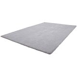  Preproga z visokim florom Super Soft Shaggy (srebrna, 170 x 120 cm, 100-odstotni poliester (flor)) Cene