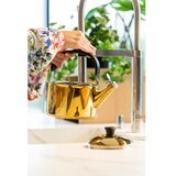 Vialli Design Kuhalo za vodu od nehrđajućeg čelika sjajno zlatno 1,5 l Diamante – | shoptok.hr