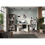 Germania Krem biblioteka 64x120x34 cm Rovigo – | shoptok.hr