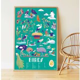 Poppik Edukativni poster s nalepnicama Otkrića Ptice 6-12 | Eponuda.com