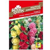  Sljez Ukrasni jednogodišnji Royal Seeds Cijene