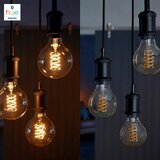 Philips LED prigušiva sijalica Philips Hue WHITE FILAMENT G93 E27/7W/230V 2100K | Eponuda.com