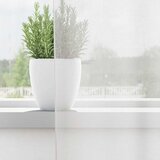 Voile zavjese s ušicama 2 kom bijele | Shoptok.si